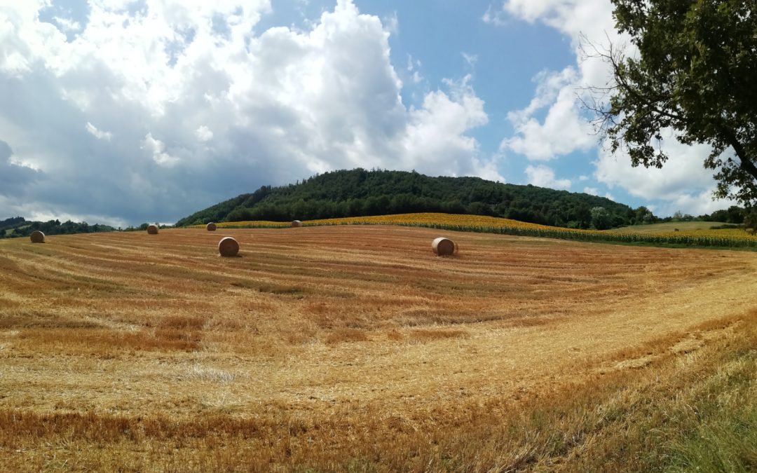 2023/07/30 – Pedalini a Vergato, Pietracolora, Tolè