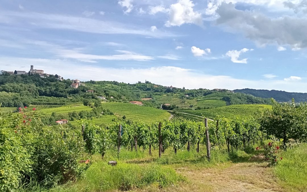 2024/06/23 Gita Estiva – Domenica – ciclisti ” Slovenia, Caporetto ” , turisti “Cividale del Friuli”