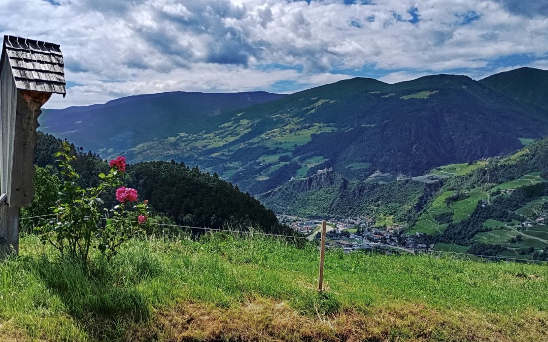 2024/07/19 Da Badia PassoGardena-Passo delleErbe _ 20Lug24 Pederù